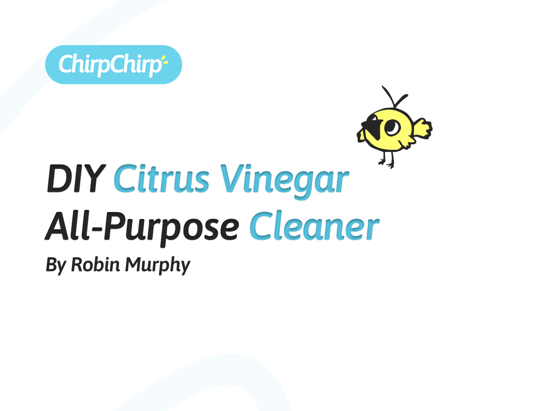 DIY Citrus Vinegar AllPurpose Cleaner ChirpChirp Blog